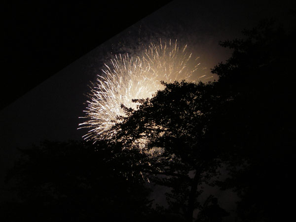 隅田川の花火